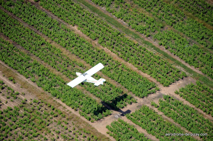 decollage-savannah-aerodrome-de-pizay