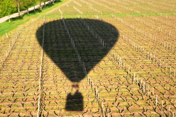 ombre-montgolfiere-vignes-beaujolais-aerodrome-de-pizay
