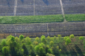 vignes depuis un ulm pendulaire Lyon